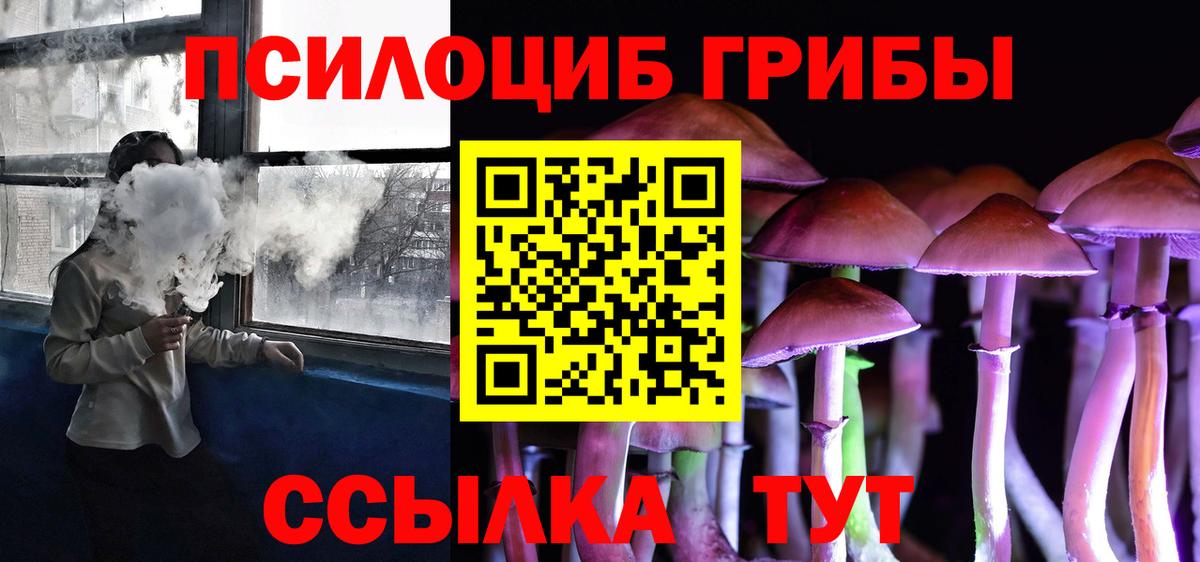 Галлюциногенные грибы Magic Shrooms  что такое   Заречный  Вход с VPN 